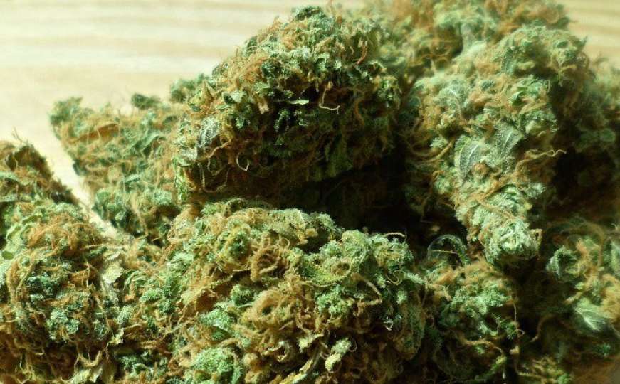 U putničkom automobilu pronašli više od osam kilograma marihuane