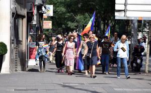 Velike mjere obezbjeđenja Parade ponosa, Mirjana Karanović 'kuma' Pridea