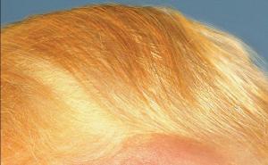 Požurite: Počinje prodaja ulaznica za 56. MESS