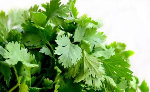 Ova biljka je najbolji lijek za čišćenje bubrega