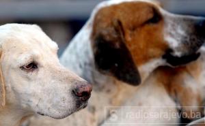 Kantonalni neprijatelj broj 1?