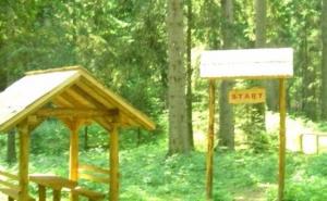 Staze, klupe, sadnice - počinje uređenje sarajevskog Huma