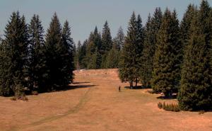 Hoćemo li i ove subote uživati u jesenskom suncu 