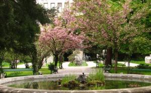 Od ponedjeljka do petka Zemaljski muzej posvećen djeci