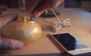 Pogledajte kako da napunite telefon uz pomoć glavice crnog luka 