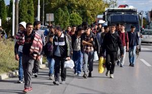 Traže otvaranje granice: Stotinjak migranata maršira iz Beograda prema Mađarskoj