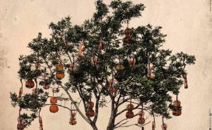 U Sarajevo stižu svjetski umjetnici i umjetnice - uživajte