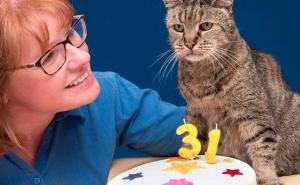 Vlasnici tvrde: Nutmeg je najstariji mačak na svijetu