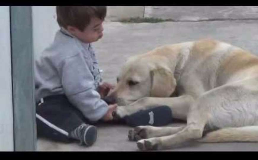 Nježna ljubav psa i dječaka s Downovim sindromom