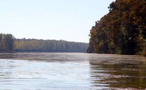 Prirodni dragulj Srema je raj za ribare 