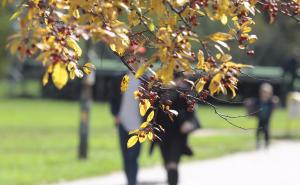 Umjereno do pretežno oblačno