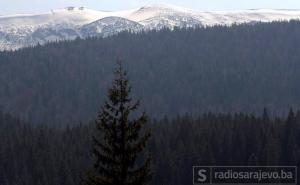 Na tri lokacije zasađeno oko 6.500 novih sadnica