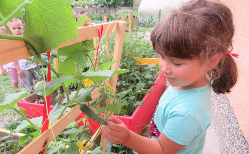 Djeca koja su čipsu i slatkišima rekli ne: Uzgajaju sopstveno povrće