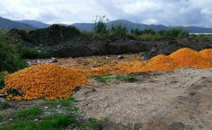 Fotka o kojoj priča internet: Otkriveno zašto su bačene tone mandarina