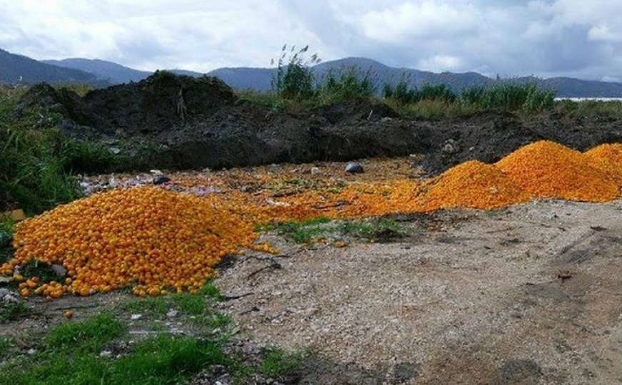Fotka o kojoj priča internet: Otkriveno zašto su bačene tone mandarina