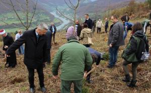 Memorijalna šuma: 8.372 osoba zasadit će 8.372 sadnice