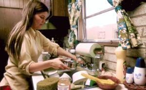 Narodni običaji: Zašto žene danas ne bi trebale raditi kućne poslove