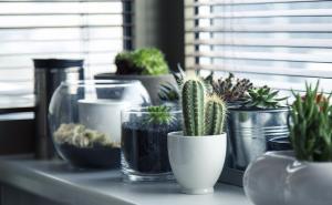 Ove stvari morate odmah izbaciti iz kuće!