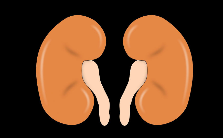 Ovo su simptomi koji upozoravaju da bubrezi slabo rade