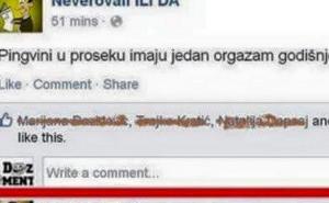 Orgazam jednom godišnje