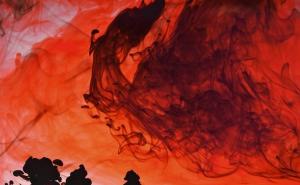 Nasljednica babe Vange predvidjela kraj Evrope i veliku katastrofu