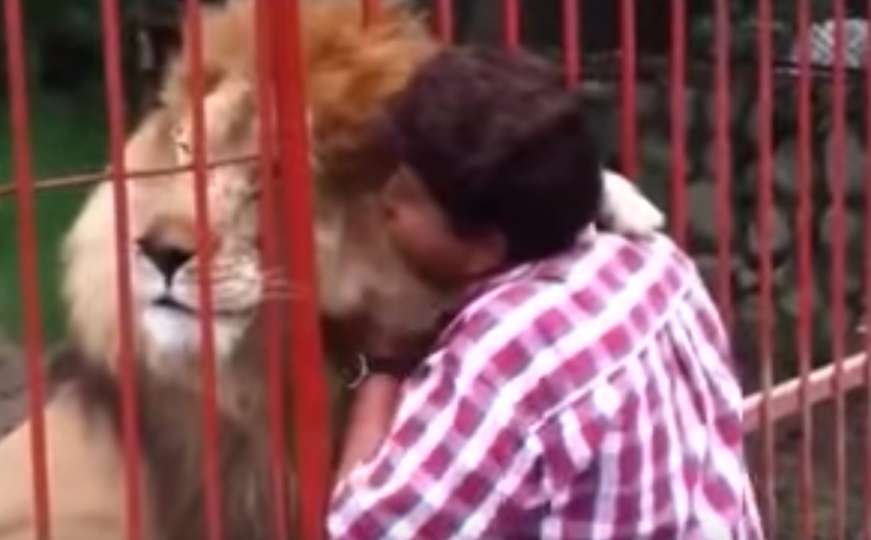 'Dirljiv' susret lava i njegove spasiteljice pun poljubaca i zagrljaja