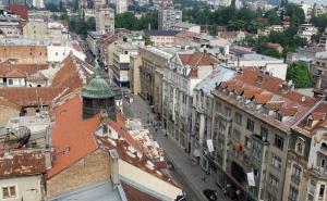 U svijetu medvjeda i leptirova