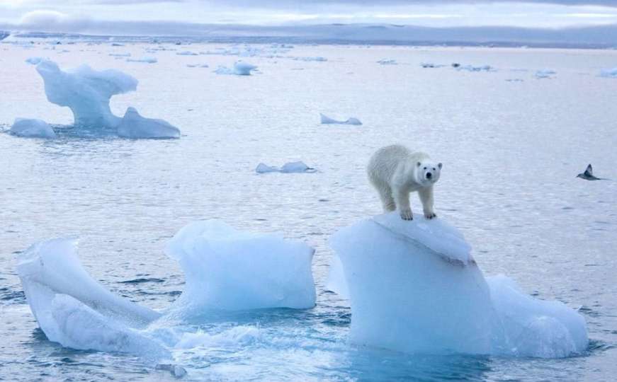 Katastrofa: Na Arktiku trenutno 20 stepeni toplije nego što bi trebalo biti