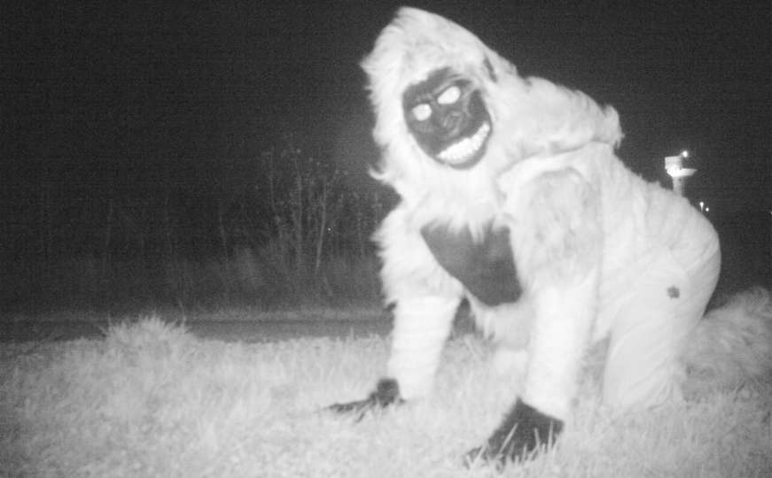 Postavili noćne kamere kako bi uhvatili lava, a snimili su OVO