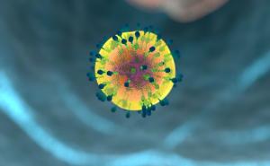 U Crnoj Gori registrovana 33 nova slučaja HIV-a 