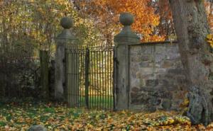 Samo natprosječno inteligentni mogu otkriti šta je na ovim fotografijama