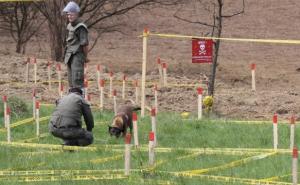Demineri OSBiH pronašli i uništili 347 komada ubojnih sredstava