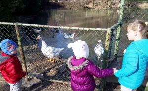 Divan sunčan dan u Pionirskoj dolini