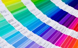 Koja će boja obilježiti 2017. godinu?