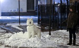 Hladno vrijeme i snježne oluje u SAD-u: U Chicagu otkazano 1.400 letova 