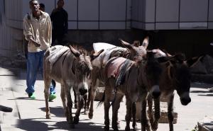 Zemlja sa sedam miliona magaraca