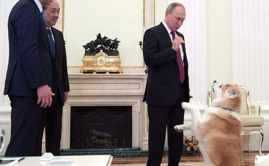 Putin japanskim novinarima pokazao psa kojeg mu je poklonio premijer Abe