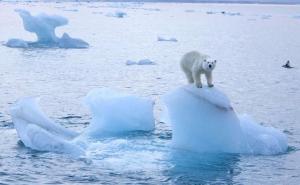 Stravični podaci: Arktik najtopliji od 1900. godine