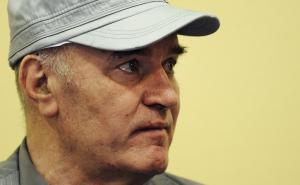 Odbrana: Mladić je mogao presjeći Bosnu, ali nije, on se samo branio
