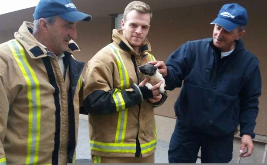 Vratnički vatrogasci koji su spasili psića dobit će nagradu