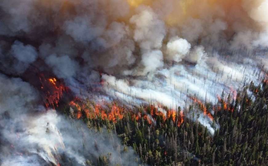 Požar iznad bugojanskog naselja se širi prema šumi
