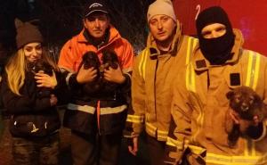 Bravo, momci: Vratnički vatrogasci spasili kučiće iz zaleđene Miljacke