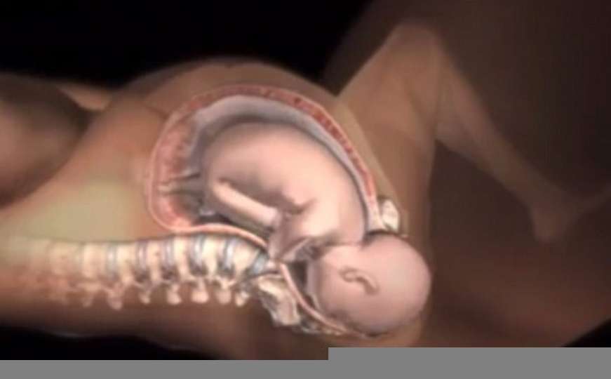 Kako se žensko tijelo otvara za izlazak bebe: Nevjerovatna animacija