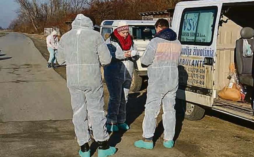Opasan virus u Hrvatskoj: Cijelo selo blizu granice sa BiH u karantinu