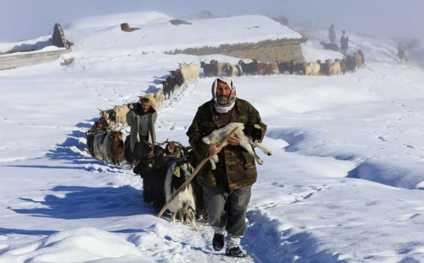 Snijeg zameo sela: Pastiri sa stadima idu neprohodnim stazama 