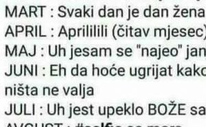 Kako izgleda jedna godina u BiH na Facebooku