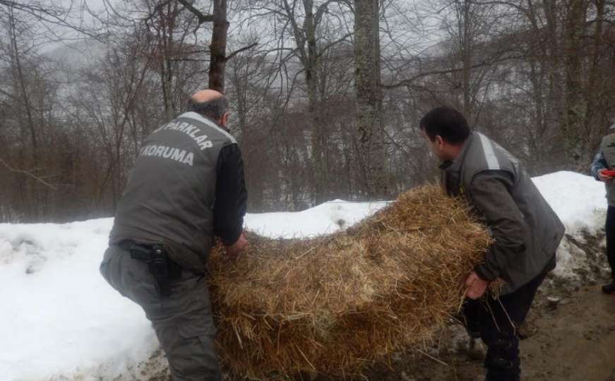 Ostavljaju hranu u šumama kako bi životinje lakše preživjele zimu