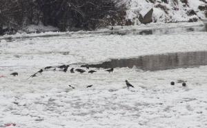 Iz FUCZ-a stiglo upozorenje građanima zbog niskih temperatura