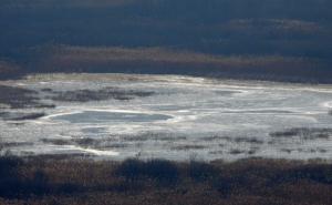 Zaleđeno Hutovo blato - ptice trebaju pomoć ljudi 