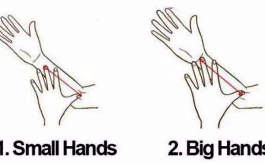 Šta dužina vaših ruku govori o vama?